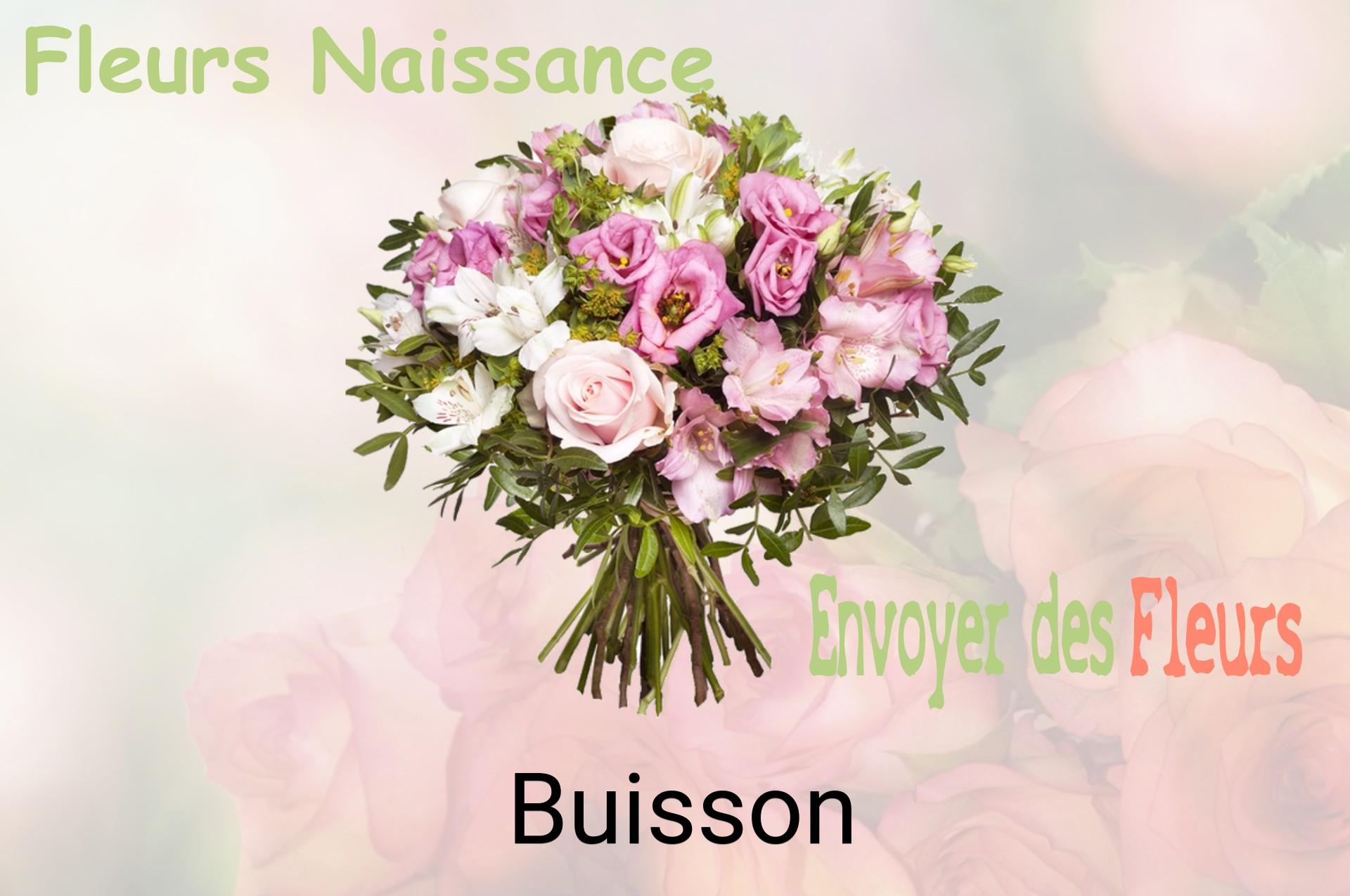 Bouquet de fleurs de naissance livré à Buisson