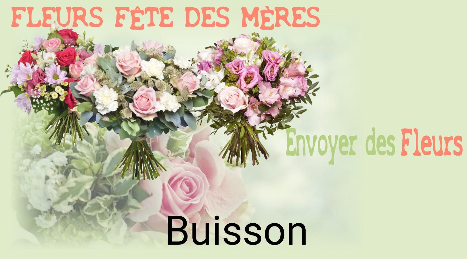 Bouquet de Fête des Mères livré à Buisson