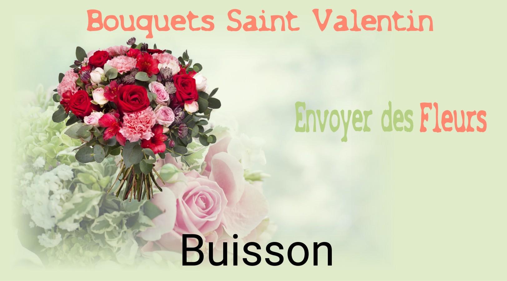 Roses de Saint-Valentin livrées à Buisson